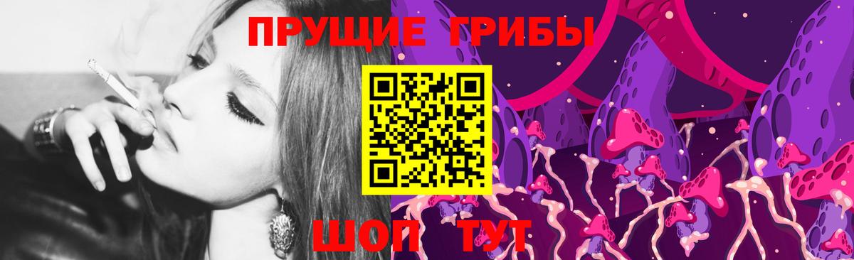 Псилоцибиновые грибы Psilocybe Воткинск